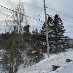 Studio detached home for sale in Addington Highlands — 10118 Highway 41 Highway (Photo 3)