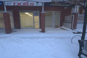 Studio commercial retail home for rent in Vaughan — 103 - 10055 Keele Street