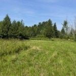 Studio vacant land home for sale in Lanark Highlands — 12992 #7 Highway (Photo 3)