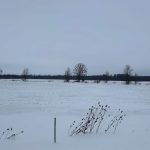 Studio farm home for sale in Arran-elderslie — 132 6 Concession (Photo 3)