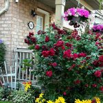 3-bedroom condo townhouse for sale in Mississauga — 14 - 3150 Erin Centre Boulevard (Photo 3)
