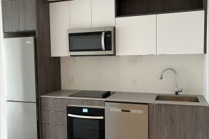 1-bedroom condo apartment for rent in Toronto — 1414 SE - 60 Princess Street
