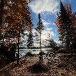 Studio vacant land home for sale in Hastings Highlands — 1519 North Baptiste Lake Road (Photo 2)