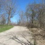 Studio vacant land home for sale in Burlington — 1525 Snake Road (Photo 5)