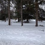 Studio home for sale in Simcoe — 154 Mccall Crescent (Photo 1)