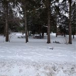 Studio home for sale in Simcoe — 154 Mccall Crescent (Photo 2)