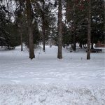 Studio home for sale in Simcoe — 154 Mccall Crescent (Photo 3)