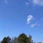 Studio home for sale in St. Charles — 200 Beauparlant Road (Photo 4)