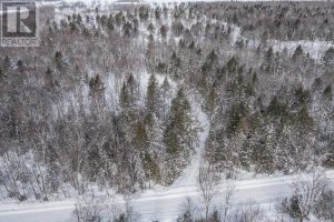 Studio home for sale in Echo Bay — 204 Pumpkin Point Road W