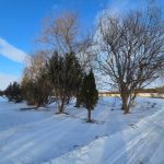 5-bedroom detached home for rent in East Gwillimbury — 22156 Leslie Street (Photo 3)
