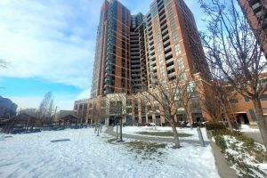 Studio co-op apartment for rent in Toronto — 224 - 60 Heintzman Street