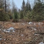 Studio vacant land home for sale in Ottawa — 2819 Cowell Road (Photo 3)