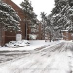 2-bedroom condo apartment for sale in St. Catharines — 320 - 198 Scott Street (Photo 1)