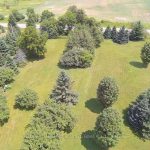 Studio land home for sale in Burlington — 3400 Cedar Springs Road (Photo 4)
