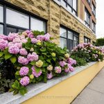 2-bedroom condo apartment for sale in Toronto — 408 - 115 Bonis Avenue (Photo 3)