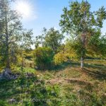 2-bedroom detached home for sale in Kawartha Lakes — 46 Mcguire Beach Road (Photo 4)