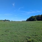 Studio farm home for sale in Bayham — 4688 Godby Road (Photo 2)