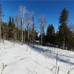 Studio home for sale in Gore Bay — 503 Lighthouse Road (Photo 3)