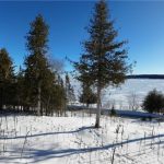 Studio home for sale in Gore Bay — 503 Lighthouse Road (Photo 4)
