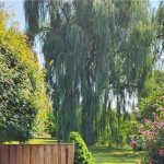 3-bedroom home for sale in Waterloo — 52 - 121 University Avenue East (Photo 3)