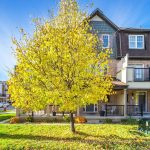 3-bedroom att/row/townhouse for sale in Brampton — 6 Baby Pointe Trail (Photo 2)