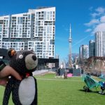 1-bedroom condo apartment for rent in Toronto — 720W - 27 Bathurst Street (Photo 5)
