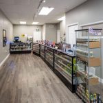 Studio investment home for sale in Strathroy-caradoc — 79 Front Street W (Photo 4)