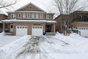 1-bedroom semi-detached home for rent in Vaughan — Basement - 30 Casabel Drive