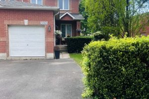 1-bedroom semi-detached home for rent in Mississauga — Basement - 3086 Pendleton Road