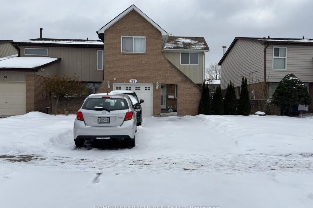 1-bedroom semi-detached home for rent in Brampton — Basement - 55 Cowan Road (Photo 1)