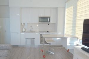 2-bedroom condo apartment for sale in Toronto — Ph503 - 75 Canterbury Place