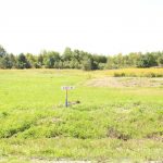 Studio vacant land home for sale in Springwater — 100 Scarlett Line (Photo 1)