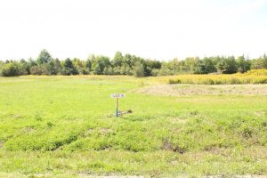 Studio vacant land home for sale in Springwater — 100 Scarlett Line