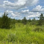Studio vacant land home for sale in Springwater — 100 Scarlett Line (Photo 5)