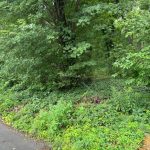 Studio vacant land home for sale in Ottawa — 101 Allbirch Road (Photo 2)