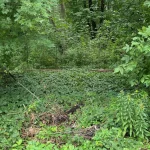 Studio vacant land home for sale in Ottawa — 101 Allbirch Road (Photo 4)