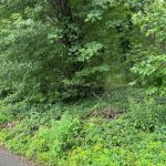 Studio vacant land home for sale in Ottawa — 101 Allbirch Road (Photo 5)