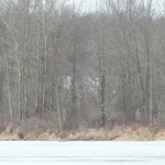 Studio home for sale in Elizabethtown-kitley — 115 County Road 8 (Photo 1)