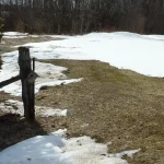 Studio home for sale in Elizabethtown-kitley — 115 County Road 8 (Photo 5)