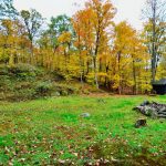 3-bedroom detached home for sale in Muskoka — 1279 Carlingford Road (Photo 5)