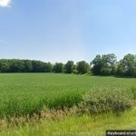 Studio home for sale in Essex — 1344 South Malden (Photo 3)