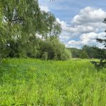 Studio vacant land home for sale in Springwater — 14 Rumble Court (Photo 5)