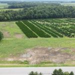 Studio home for sale in Bothwell — 15013 Main Line (Photo 2)