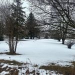 3-bedroom home for sale in Brant — 171 German School Road (Photo 5)