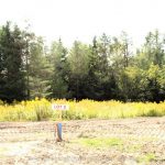 Studio vacant land home for sale in Springwater — 19 Rumble Court (Photo 1)