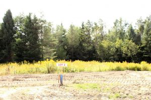 Studio vacant land home for sale in Springwater — 19 Rumble Court