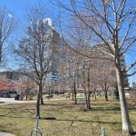 1-bedroom condo apartment for sale in Toronto — 208 - 260 Sackville Street (Photo 2)