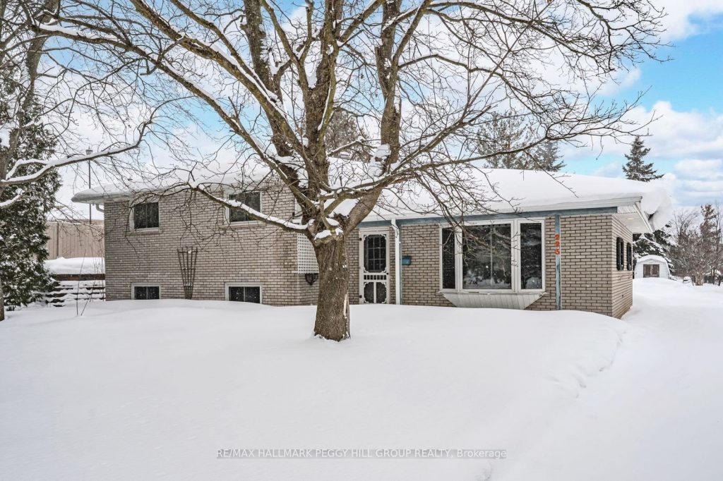 3-bedroom detached home for sale in Simcoe — 223 Phillips Street (Photo 1)