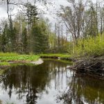 Studio vacant land home for sale in North Kawartha — 2348 Northey's Bay Road (Photo 1)