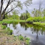 Studio vacant land home for sale in North Kawartha — 2348 Northey's Bay Road (Photo 2)